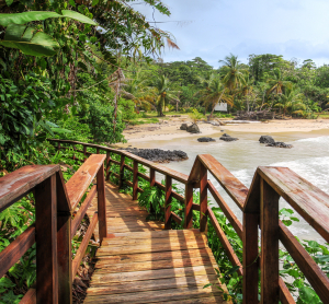 AdobeStock 470335447