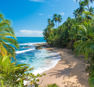 Abgelegener Sandstrand mit türkisfarbenem Meer, umgeben von dichtem Palmenwald.