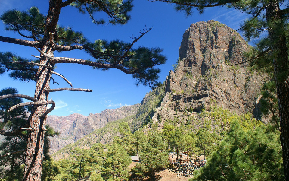 Berg und Waldlandschaft auf La Palma